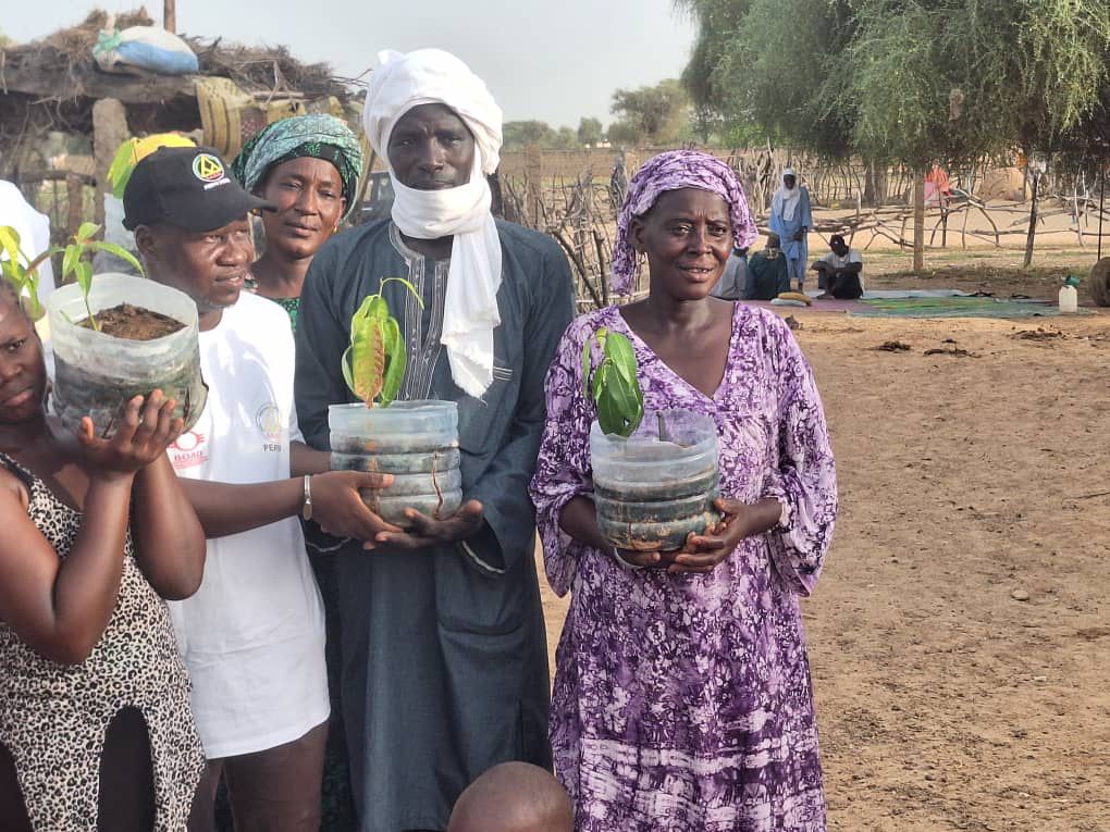 L’ADSF (Association pour le Développement et la Solidarité du Fouta) a lancé le programme « Une maison, un arbre fruitier » dans le village de Guiro